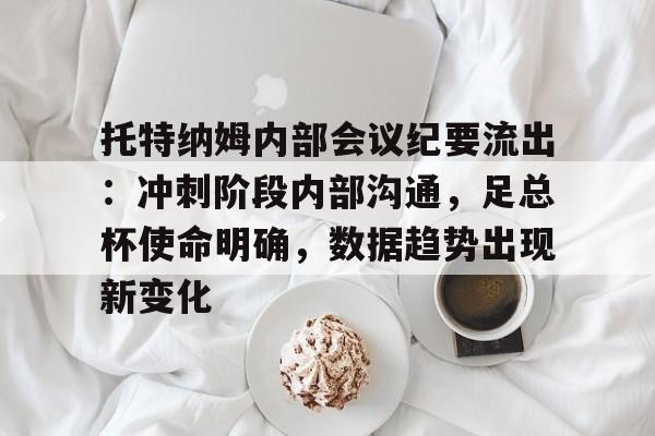 九游电脑版安装包-托特纳姆内部会议纪要流出：冲刺阶段内部沟通，足总杯使命明确，数据趋势出现新变化的简单介绍